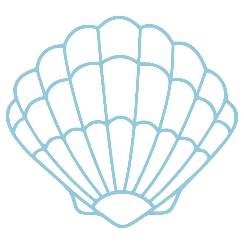 Scallop